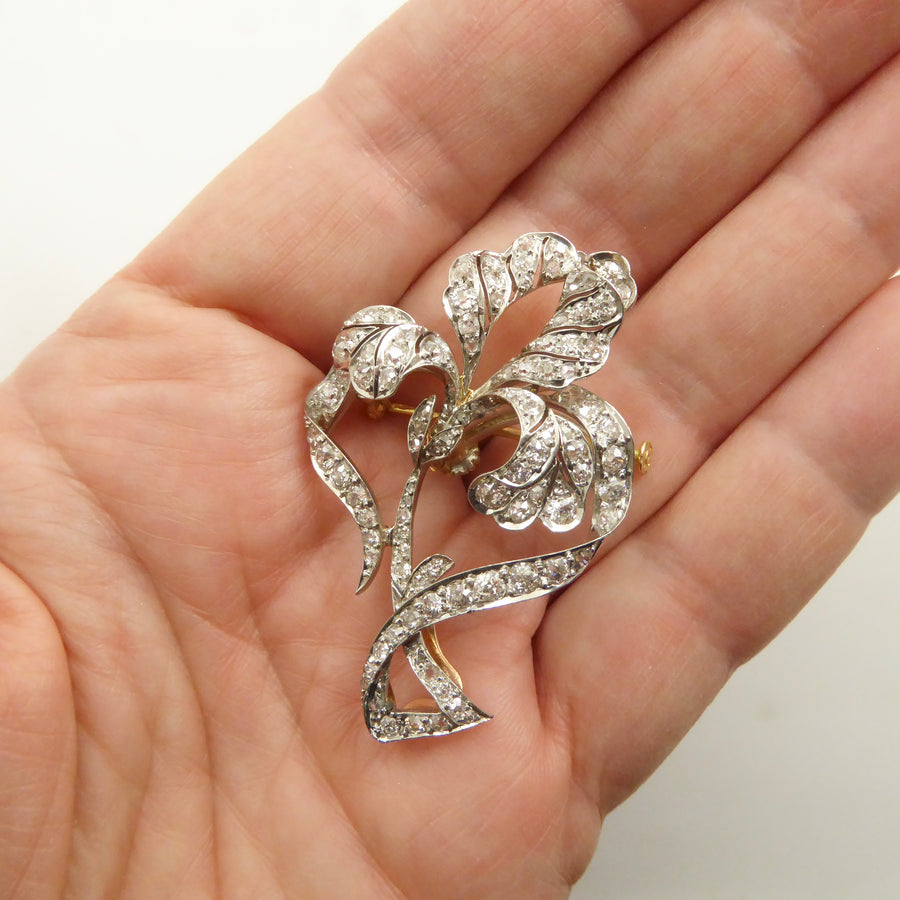 Antique French diamond iris flower brooch
