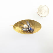 Antique French Fly Brooch