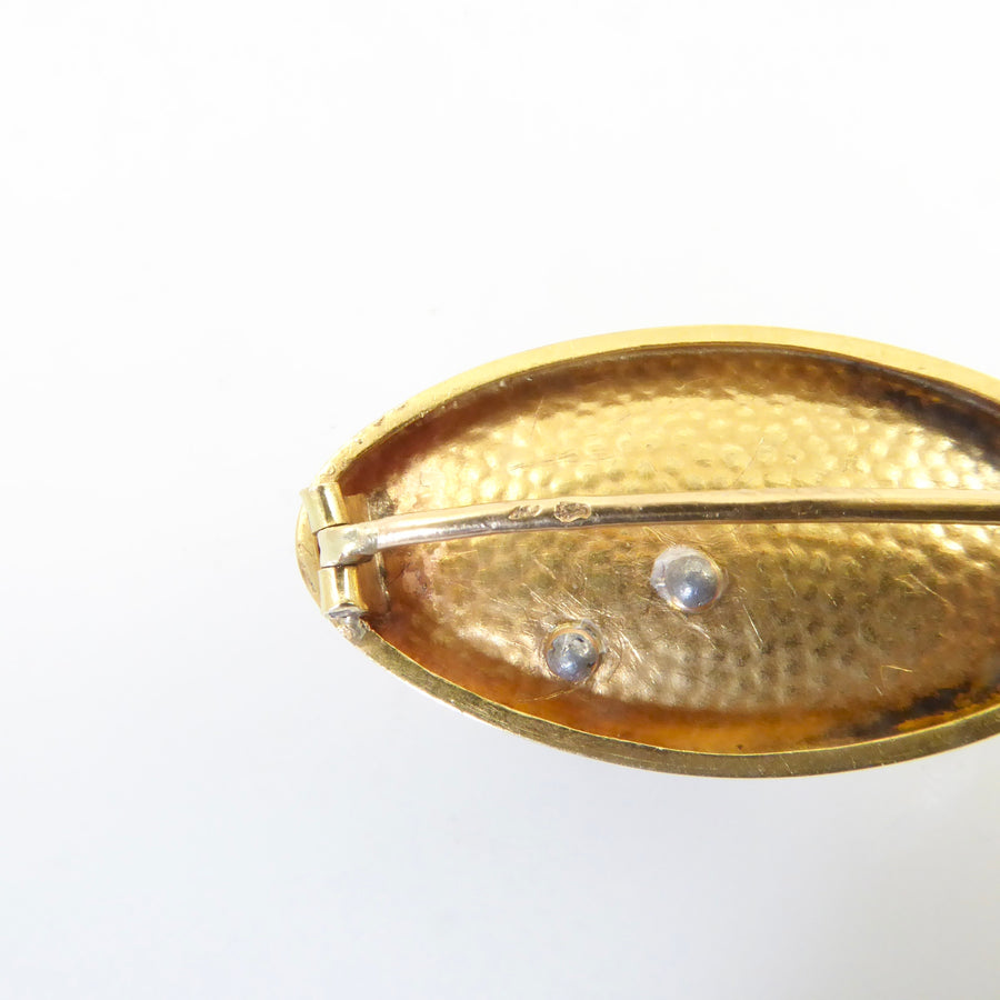 Antique French Fly Brooch